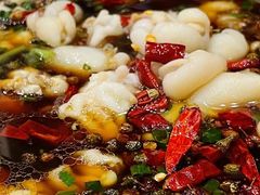 墨鱼仔-小耕园