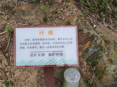 -羚羊峡古栈道森林公园