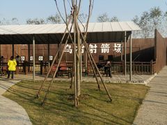 -乌村