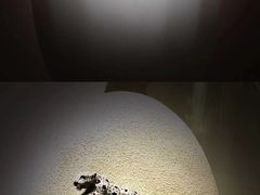 -艺仓美术馆
