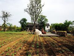 -田园东方蜜桃村的田野营地