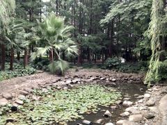 -苏州河梦清园环保主题公园