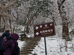 -紫金山山顶公园