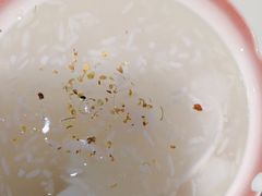 -苏晓玥·手作江南小吃(深圳北站店)