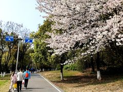 -雅和生态渔庄·宜城锅巴饭(龙灵山公园店)