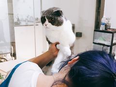 -优米宠物美容(体育场路店)