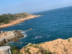 -广东惠东海龟国家级自然保护区