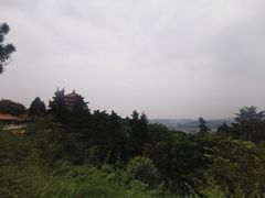 -富乐山