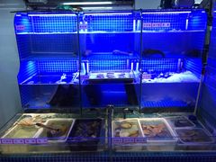 水产区-捞围鲜·港式打边炉(海阳路店)