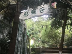 -天目湖山水园