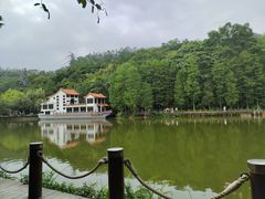 -深圳仙湖植物园