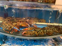 -渔中舟海鲜大排档(普陀沈家门店)