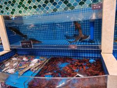 -乔哥铭洋海鲜自助(皇城恒隆广场店)