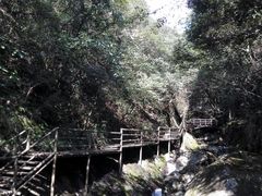-东天目山风景区