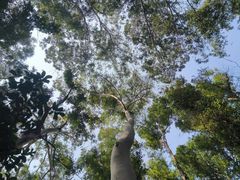 -南国桃园旅游度假区