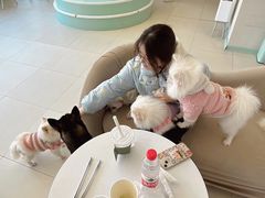 -怪兽屋·羊驼·猫咖·狗咖(俊华广场店)