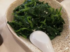 清炒豌豆尖-北京全聚德(西客站店)