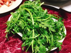 茼蒿-馋嘴蛙火锅