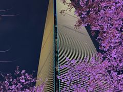 -上海环球金融中心-停车场