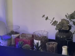 -兰拓相机租赁·维修·二手(上海店)