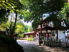 -乌山风景区