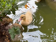 -伴山茶苑·围炉煮茶