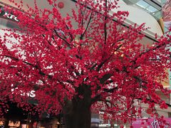 -万达茂商场(南京仙林店)