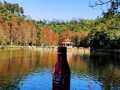-深圳仙湖植物园