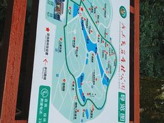 -广东茂名森林公园