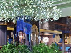 -润园四季椰子鸡火锅(南山海岸城店)