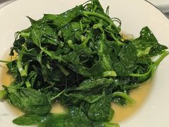 豌豆尖-峨嵋酒家(地安门店)