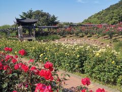 -龙寺生态园