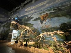 -自贡恐龙博物馆