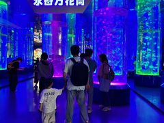 -海合安成都极地海洋公园