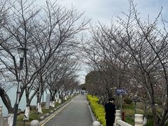 -苏州独墅湖世尊酒店
