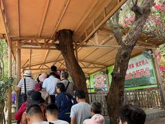 -北海金海湾红树林生态旅游区