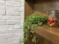 -UPTOP鼎上造型