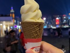 -富豪雪糕车流动点(尖沙咀店)
