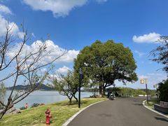 -东钱湖小普陀景区