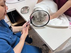 -瑞派康怡24h宠物医院·犬猫医疗中心·微创绝育(瑞景分院)