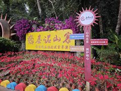 -西双版纳基诺山寨