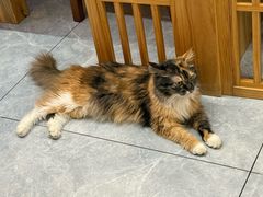 -雪月花(长江北路店)