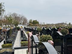 -上海望仙安息园