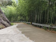 -四明山国家森林公园