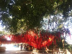 -西双版纳勐泐文化旅游区