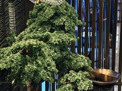 -上足·影院足道·SPA(红岭店)