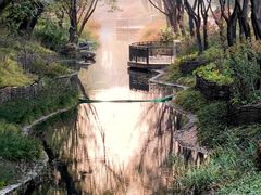 -北坞公园