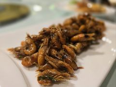 -旅马餐厅(茅家埠店)