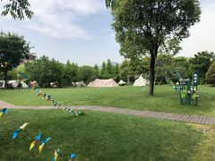 -长兴太湖图影湿地文化园