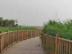 -水西公园